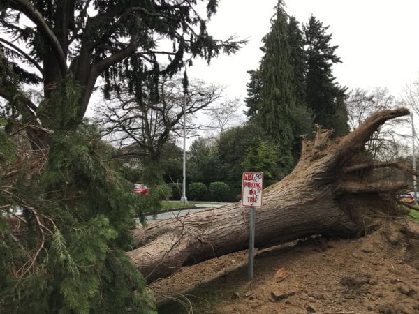 ‘High Wind Event’ — National Weather Service issues