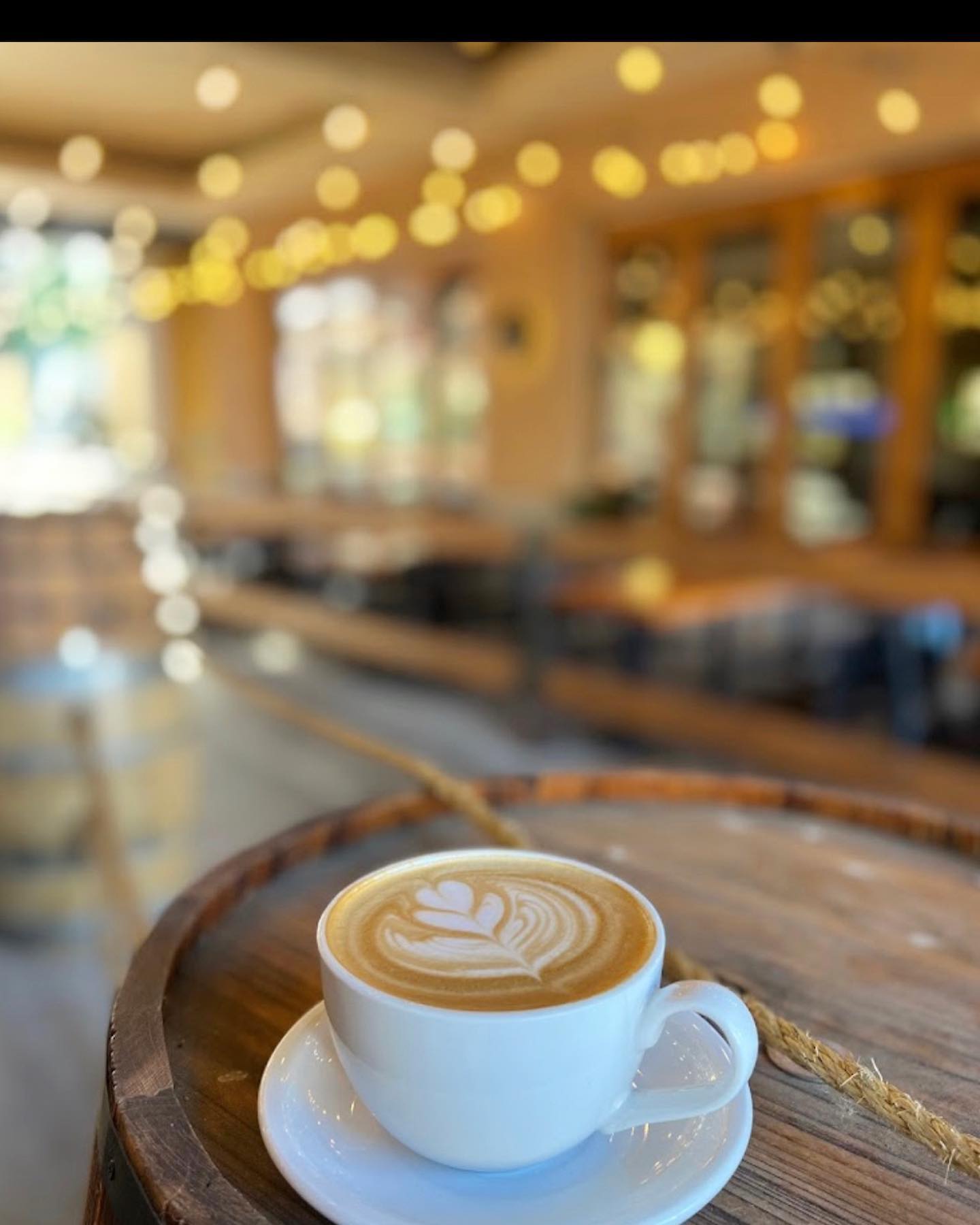 328481521_876154783501245_182582481471670417_n CHS Capitol Hill